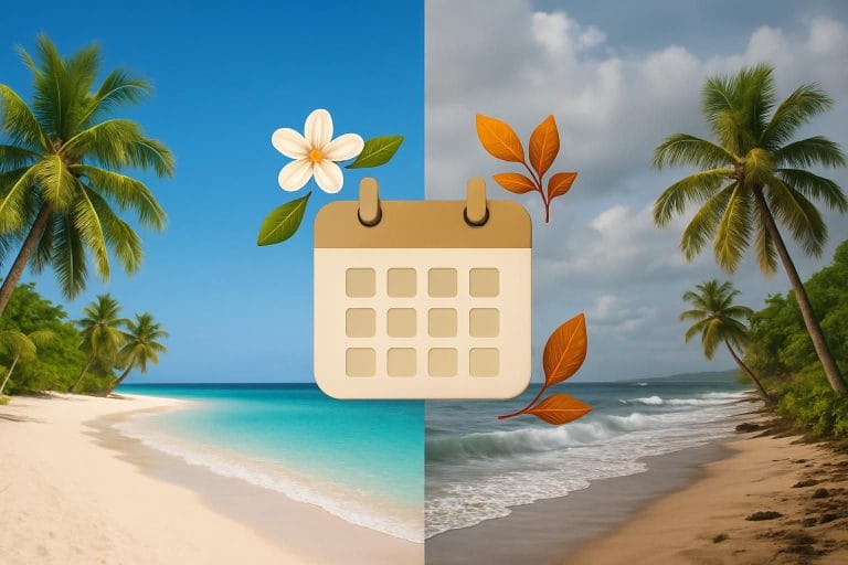 découvrez les meilleures périodes pour partir à mayotte et profiter pleinement de votre voyage grâce à nos conseils sur le climat, les saisons et les activités incontournables.